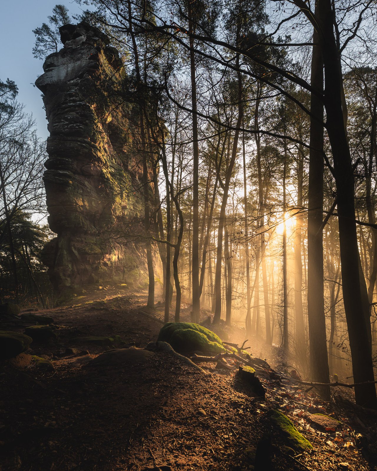 Goldenes Licht bricht durch den Wald neben einem Sandsteinturm