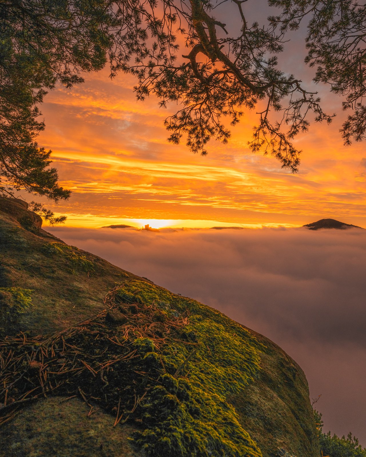 Feuriger Abendhimmel über dem Nebelmeer mit Blick auf Burgruine