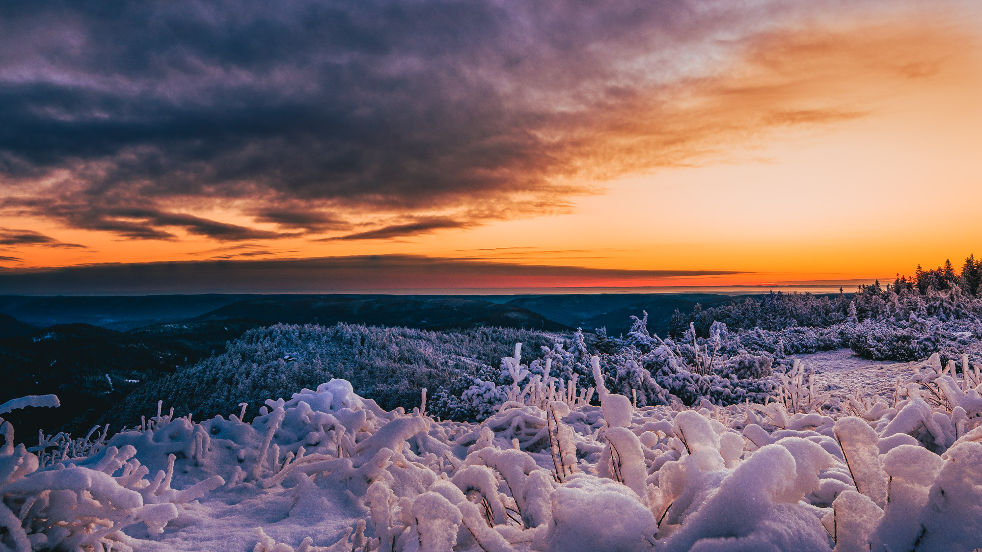 Schneebedeckter Feldberg-Gipfel mit spektakulärem Abendhimmel in Lila und Orange