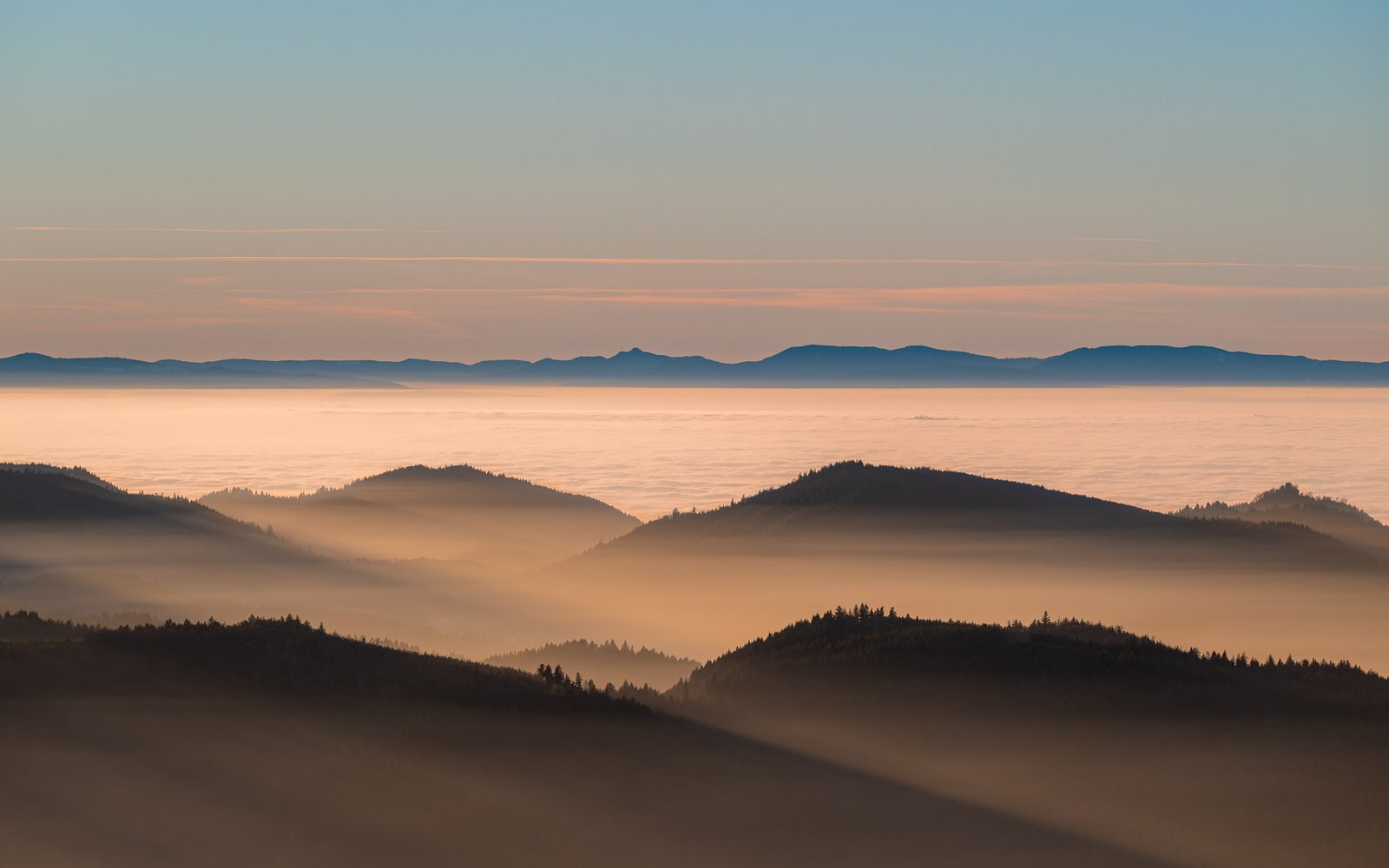 Schwarzwald-Silhouetten in gestaffelten Nebelschichten beim Morgenrot
