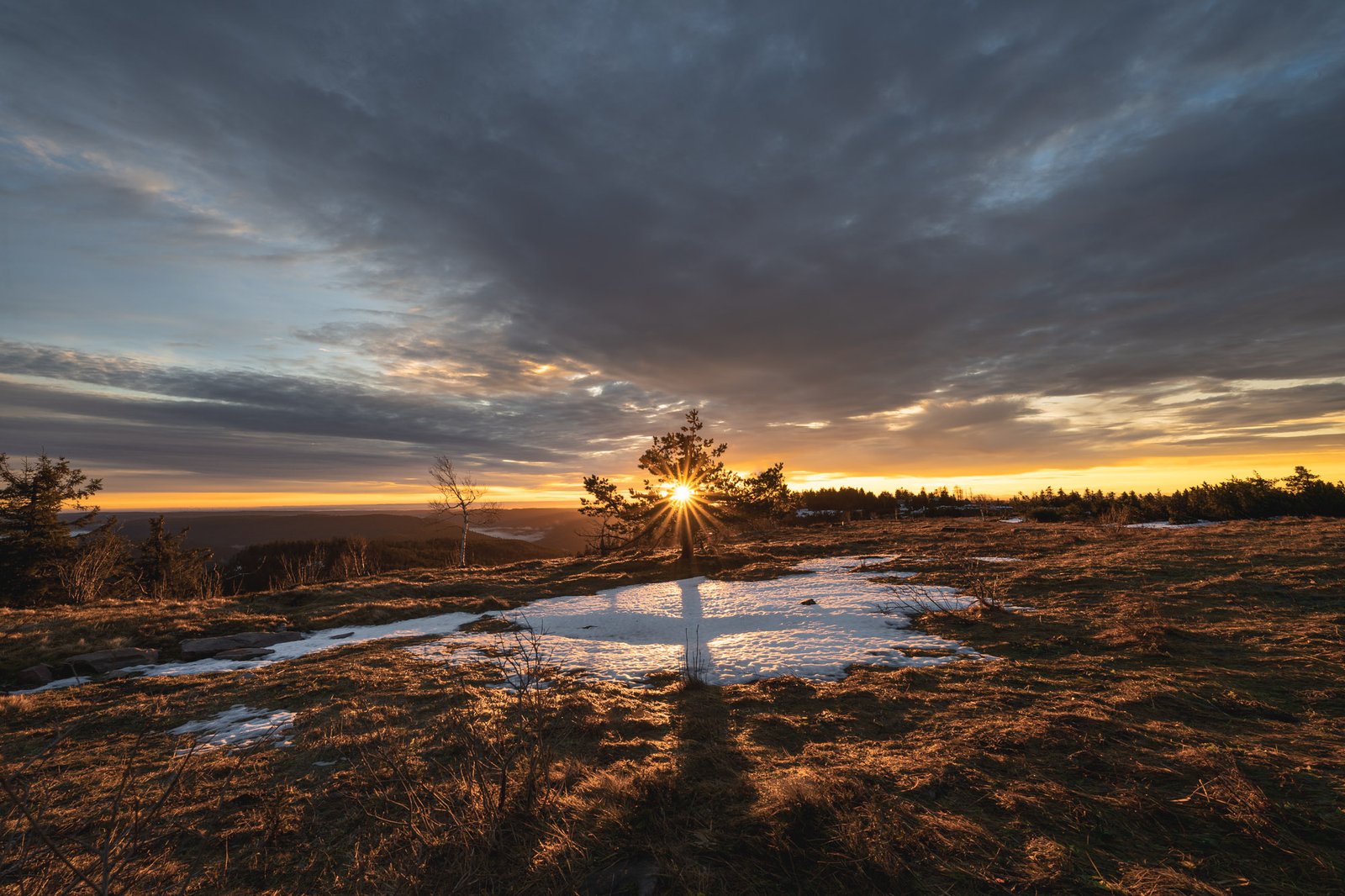 Sonnenstar durch Baum mit Pfützenspiegelung auf dem winterlichen Hochmoor
