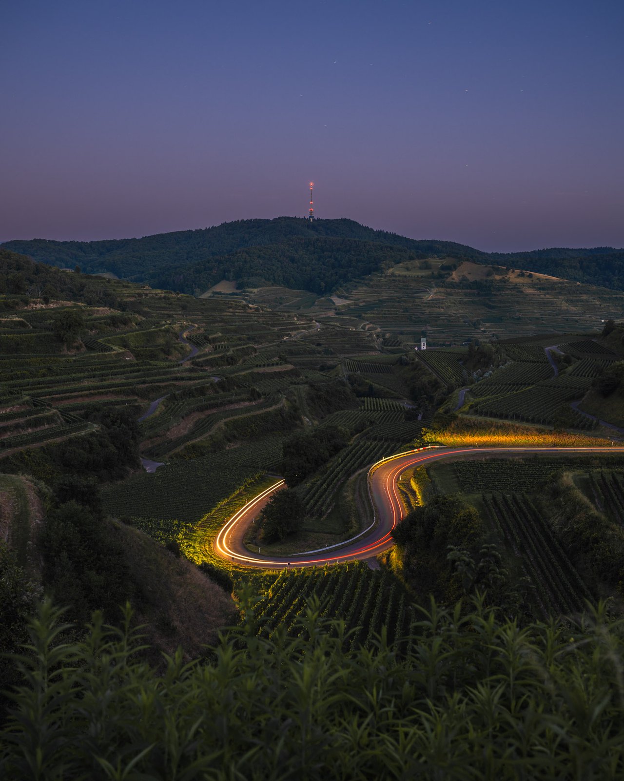 Weinberge am Kaiserstuhl mit Lichtspuren bei der Blauen Stunde