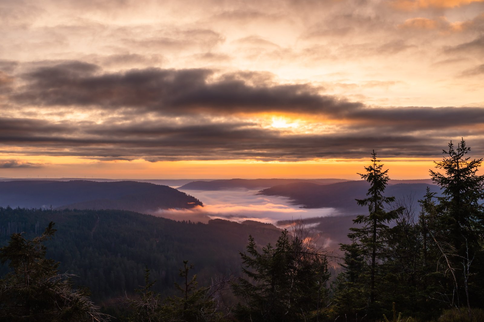 Schwarzwald-Panorama mit Nebel in den Tälern beim Sonnenaufgang