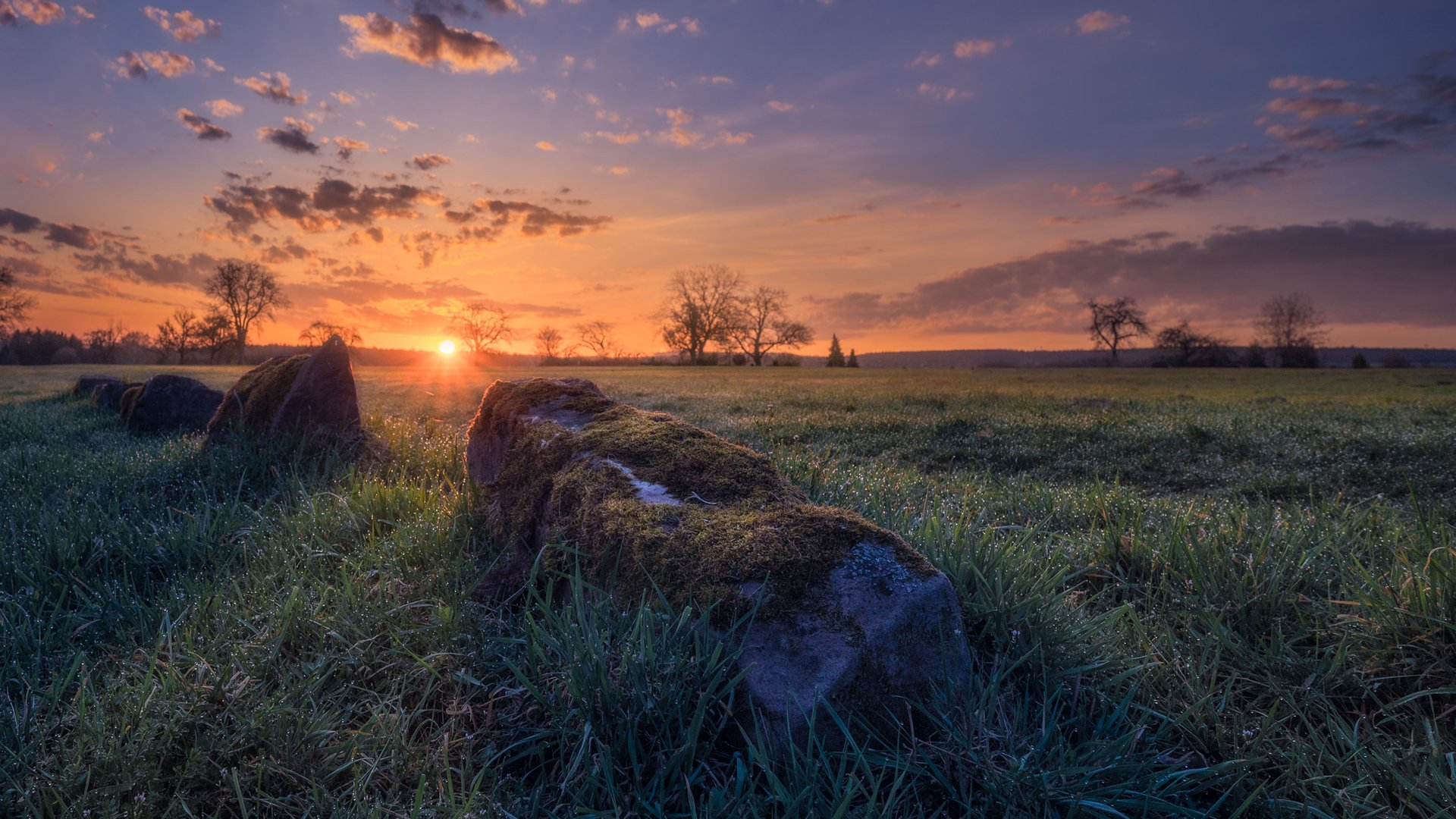 Sonnenuntergang über moosbewachsenen Steinen auf der Wiese — Fotografie-Workshop René Paschold