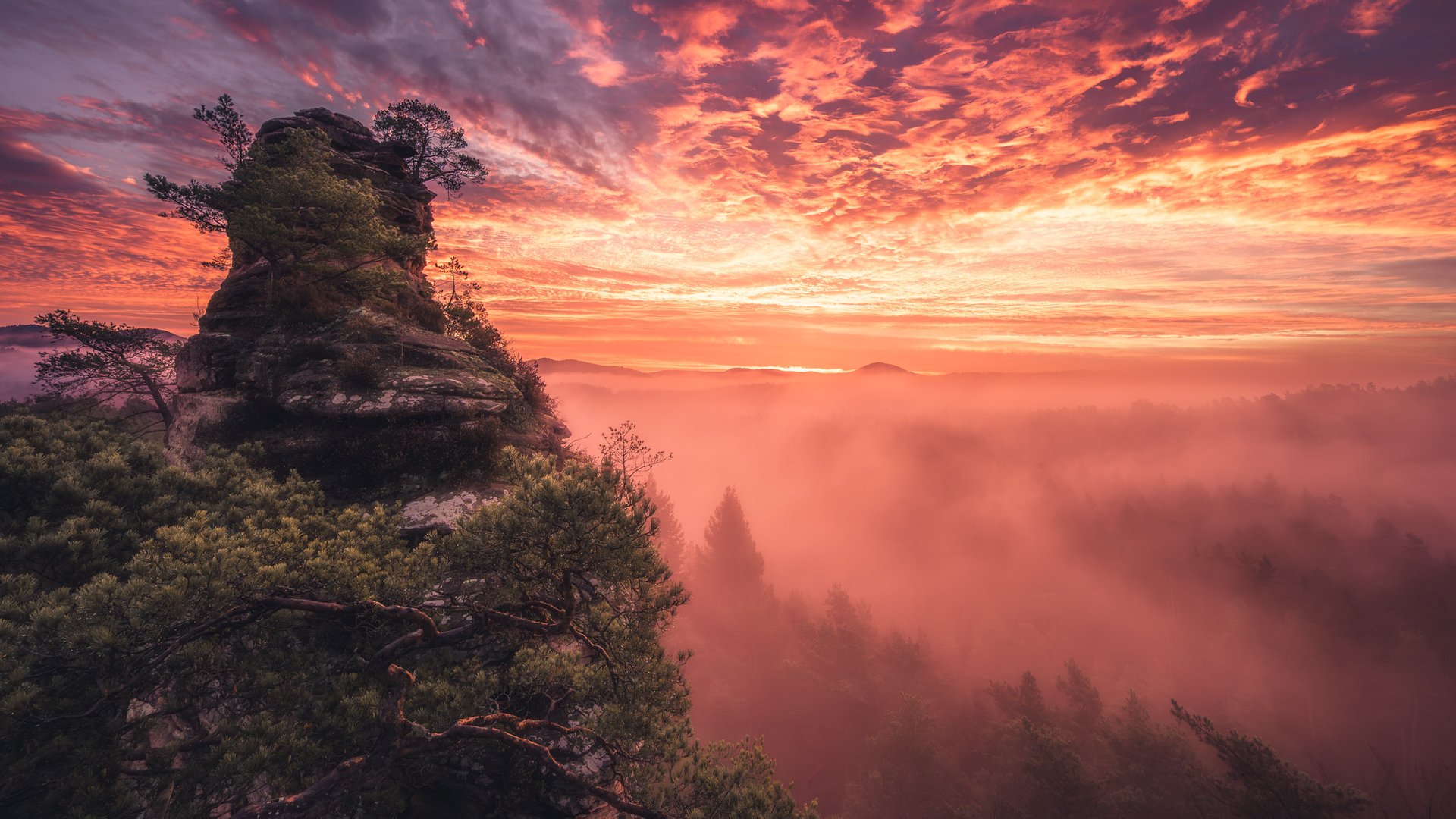 Sandsteinfelsen im Nebel bei Sonnenaufgang — René Paschold Landschaftsfotografie