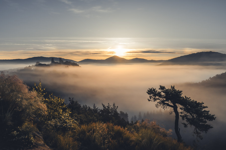 Sonnenaufgang-Workshop im Pfälzerwald