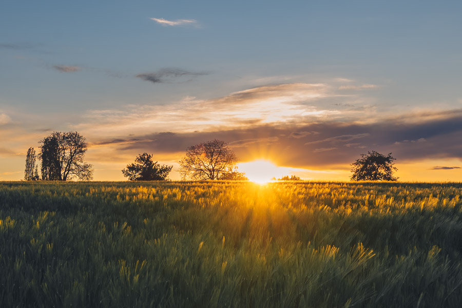 Sonnenuntergang-Workshop im Pfälzerwald